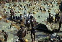 View over mass of men with nets in the muddy water for the Fishing Festival with men dressed in white on a boat African Male Man Guy Nigerian Northern Western Africa Male Men Guy