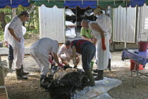 Tsunami. Forensic workers from Germany with the group D.V.I  Disaster Victims International  take DNA samples from the bodies which are stored in refridgeraters on the 2nd Jan.Asian Ecology Entorno...