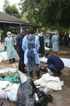 Tsunami. Australian forensic team. Volunteers try to cool off victims of Tsunami with dry ice blocks in the outdoor morgue where 100s of corpses are being stored without refridgeration   awaiting DNA...