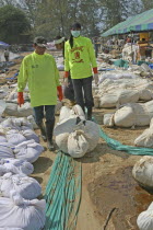 Thai volunteers sought the bodies out so they can be put into body bags  and then they can be taken to the morgue  where they will have DNA samples taken from them. Near Khao Lak  about 100kms north o...