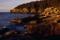 National Park. Golden light shining on Otter Cliffs along rugged coastline lined with fir trees. American New England North America Northern Scenic United States of America Great Britain Northern Eur...