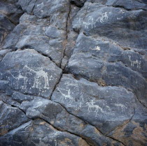 Rock drawings of men on camels and horses scratched on grey stones Equestrian Gray History Male Man Guy Middle East Omani Male Men Guy
