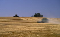 Combine harvester in wheat fieldAmerican Cereal Grain Crop Farming Agraian Agricultural Growing Husbandry  Land Producing Raising North America Northern United States of America