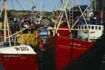 Fishing boats in Kilkeel HarbourEire European Irish Northern Europe Republic