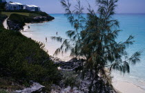 View over bay encircled by sandy beach with a few people in the sea.  White painted apartments on the cliff top behind and tree in foreground.Beaches Bermudian Resort Scenic Seaside Shore Tourism Wes...