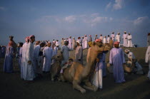Crowd of men and boys at the camel races near Al SuwaykMale Man Guy Middle East Omani Male Men Guy