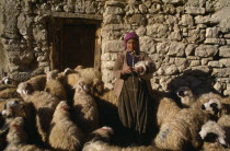 Female shepherd with sheepEuropean Farming Agraian Agricultural Growing Husbandry  Land Producing Raising Livestock Middle East One individual Solo Lone Solitary Turkish Turkiye Western Asia