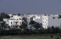 White painted housing amongst palms. Middle East Omani
