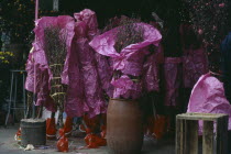 Blossom trees wrapped in pink paper for sale for Chinese New Year celebrations.Asia Asian