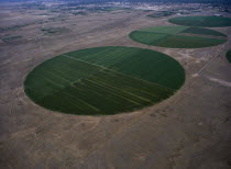 Aerial view over circular desert agriculture.Farming Agraian Agricultural Growing Husbandry  Land Producing Raising Middle East Omani Scenic