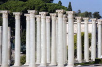 Fibreglass replica Corinthian colums beside the Temple of Venus and Rome built by Emperor Hadrian in the ForumEuropean Italia Italian Roma Southern Europe History