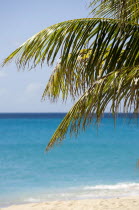 Coconut palm tree and calm aquamarine sea on Glossy Bay BeachBeaches Resort Sand Sandy Scenic Seaside Shore Tourism West Indies Caribbean Windward Islands Beaches Resort Sand Sandy Scenic Seaside Sh...