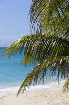 Coconut palm tree and calm aquamarine sea on Glossy Bay BeachBeaches Resort Sand Sandy Scenic Seaside Shore Tourism West Indies Caribbean Windward Islands Beaches Resort Sand Sandy Scenic Seaside Sh...