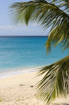 Coconut palm tree and calm aquamarine sea on Glossy Bay BeachBeaches Resort Sand Sandy Scenic Seaside Shore Tourism West Indies Caribbean Windward Islands Beaches Resort Sand Sandy Scenic Seaside Sh...