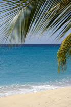 Coconut palm tree and calm aquamarine sea on Glossy Bay BeachBeaches Resort Sand Sandy Scenic Seaside Shore Tourism West Indies Caribbean Windward Islands Beaches Resort Sand Sandy Scenic Seaside Sh...