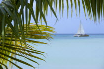 Coconut palm tree leaves on Morne Rouge Beach known locally as BBC Beach with a yacht sailing in the turqoise sea beyondBeaches Resort Sand Sandy Scenic Seaside Shore Tourism West Indies Caribbean Gr...