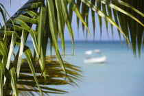Coconut palm tree leaves on Morne Rouge Beach known locally as BBC Beach with a motor boat in the turqoise sea beyondBeaches Resort Sand Sandy Scenic Seaside Shore Tourism West Indies Caribbean Grena...