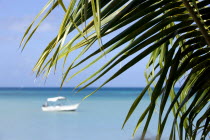 Coconut palm tree leaves on Morne Rouge Beach known locally as BBC Beach with a motor boat in the turqoise sea beyondBeaches Resort Sand Sandy Scenic Seaside Shore Tourism West Indies Caribbean Grena...