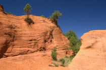Colorado Provencal.  Vivid red rocks in area of the park known as The Sahara Section with few trees and shrubs growing from cracks and gullys in surface of rock.Ochre Trail fissure crevice eroded ero...