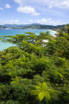 Grand Anse Beach seen across the tops of trees looking towards the inland hills surrounding the bayScenic West Indies Beaches Caribbean Grenadian Greneda Resort Sand Sandy Seaside Shore Sunbather Tou...