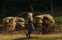 Man carrying bundles of jute fibre attached to each end of a pole held over his shoulder. Asia Asian Bangladeshi Farming Agraian Agricultural Growing Husbandry  Land Producing Raising Fiber Male Men...