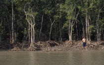 Sundarbans.  Foreign tourist walking beside mangrove forest.Asia Asian Bangladeshi Holidaymakers One individual Solo Lone Solitary Sightseeing Tourism Tourists Asia Asian Bangladeshi Holidaymakers O...