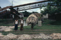 Jute manufacture  workers with piled fibres.Asia Asian Bangladeshi Farming Agraian Agricultural Growing Husbandry  Land Producing Raising Asia Asian Bangladeshi Farming Agraian Agricultural Growing...