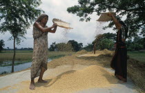 Elderly and young women winnowing rice.Asia Asian Bangladeshi Farming Agraian Agricultural Growing Husbandry  Land Producing Raising Female Woman Girl Lady Immature Old Senior Aged  Asia Asian Bangl...