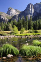 Valley floor with Merced river  Valley Viewportrait North America United States of America American National Park Northern The Golden State portrait North America United States of America American N...