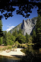 Merced river & Cathedral Spires  Valley Viewportrait North America United States of America American National Park Northern The Golden State portrait North America United States of America American...