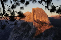 Half Dome at sunset with pine branch silhouettewide angle landscape North America Scenic United States of America American National Park Northern Solid Outline Shade Silhouetted Sundown Atmospheric T...