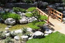 James Irvine Garden  Little TokyoDowntown American Destination Destinations North America Northern United States of America Gardens Plants Garden Plants Flora The Golden State