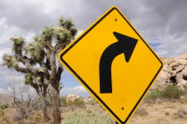 Road sign  Joshua Tree National ParkJTPS American Destination Destinations North America Northern United States of America Signs Display Posted Signage The Golden State