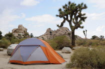 Tent Camping at Hidden Valley campground  Joshua Tree National ParkJTPS American Destination Destinations North America Northern United States of America Holidaymakers The Golden State Tourism Touris...