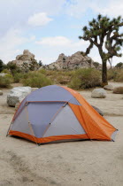 Camping at Hidden Valley campground  Joshua Tree National ParkJTPS American Destination Destinations North America Northern United States of America Holidaymakers The Golden State Tourism Tourist