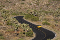 Road through park  Joshua Tree National ParkJTPS American Destination Destinations North America Northern United States of America Highway Route Motorway Scenic The Golden State