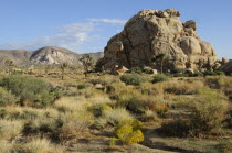 Hidden Valley  Joshua Tree National ParkJTPS American Destination Destinations North America Northern United States of America Scenic The Golden State