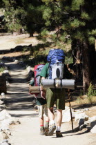 Hikers & trail  Mt San Jacinto State Park  Palm SpringsJTPS American Destination Destinations North America Northern United States of America Holidaymakers The Golden State Tourism Tourist