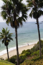 Main Beach view  Laguna BeachSouth Beaches American Destination Destinations North America Northern Resort Sand Sandy Seaside Shore Southern Tourism United States of America Sand Sandy Beach Tourism...