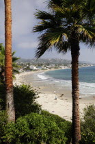 Main beach from Heisler Park  Laguna BeachSouth Beaches American Destination Destinations North America Northern Resort Sand Sandy Seaside Shore Southern Tourism United States of America Sand Sandy B...