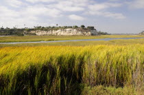 Wetlands at Newport Bay Ecological Reserve  Newport BeachSouth Beaches American Destination Destinations North America Northern Resort Sand Sandy Seaside Shore Southern Tourism United States of Ameri...