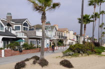 Beach front houses  Newport BeachSouth Beaches American Destination Destinations North America Northern Resort Sand Sandy Seaside Shore Southern Tourism United States of America Gray LA Sand Sandy Be...