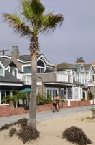 Beach front houses  Newport BeachSouth Beaches American Destination Destinations North America Northern Resort Sand Sandy Seaside Shore Southern Tourism United States of America Gray LA One individua...