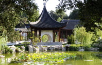 View across lake to Terrace of the Jade Mirror  Chinese Garden  The Huntington  PasadenaValley & Pasadena American Asian Destination Destinations North America Northern United States of America Garde...