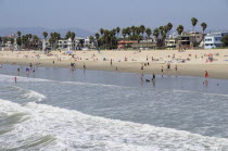 Surf & beach scene from Venice pier  Venice BeachVenice Beach American Beaches Destination Destinations North America Northern Resort Sand Sandy Seaside Shore Tourism United States of America LA Sand...