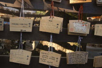 Jingumae - at Meijijingu shrine  ema wooden cards with New Years resolutions and wishes written on them  some in English  decorated with year of cowAsia Asian Japanese Nihon Nippon Cows Female Religi...