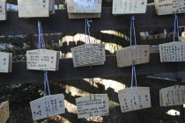 Jingumae - at Meijijingu shrine  ema wooden cards with New Years resolutions and wishes written on them  some in English  decorated with year of cowAsia Asian Japanese Nihon Nippon Cows Female Religi...