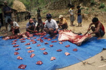 Men butchering a freshly slaughtered buffalo carcass to divide amongst the villagers in Bahundanda.trekking trek meat share community working together Asia Asian Male Man Guy Nepalese Male Men Guy
