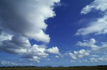 Dramatic clouds in a blue sky over the Everglades  FloridaAmerican Northern Scenic Sunshine State Surly White