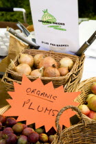 Findon village Sheep Fair Baskets of organic onions and plums.European Great Britain Northern Europe UK United Kingdom